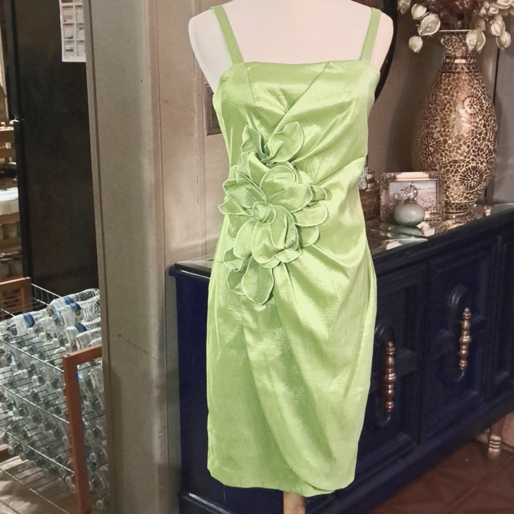 Franklyman Design dress